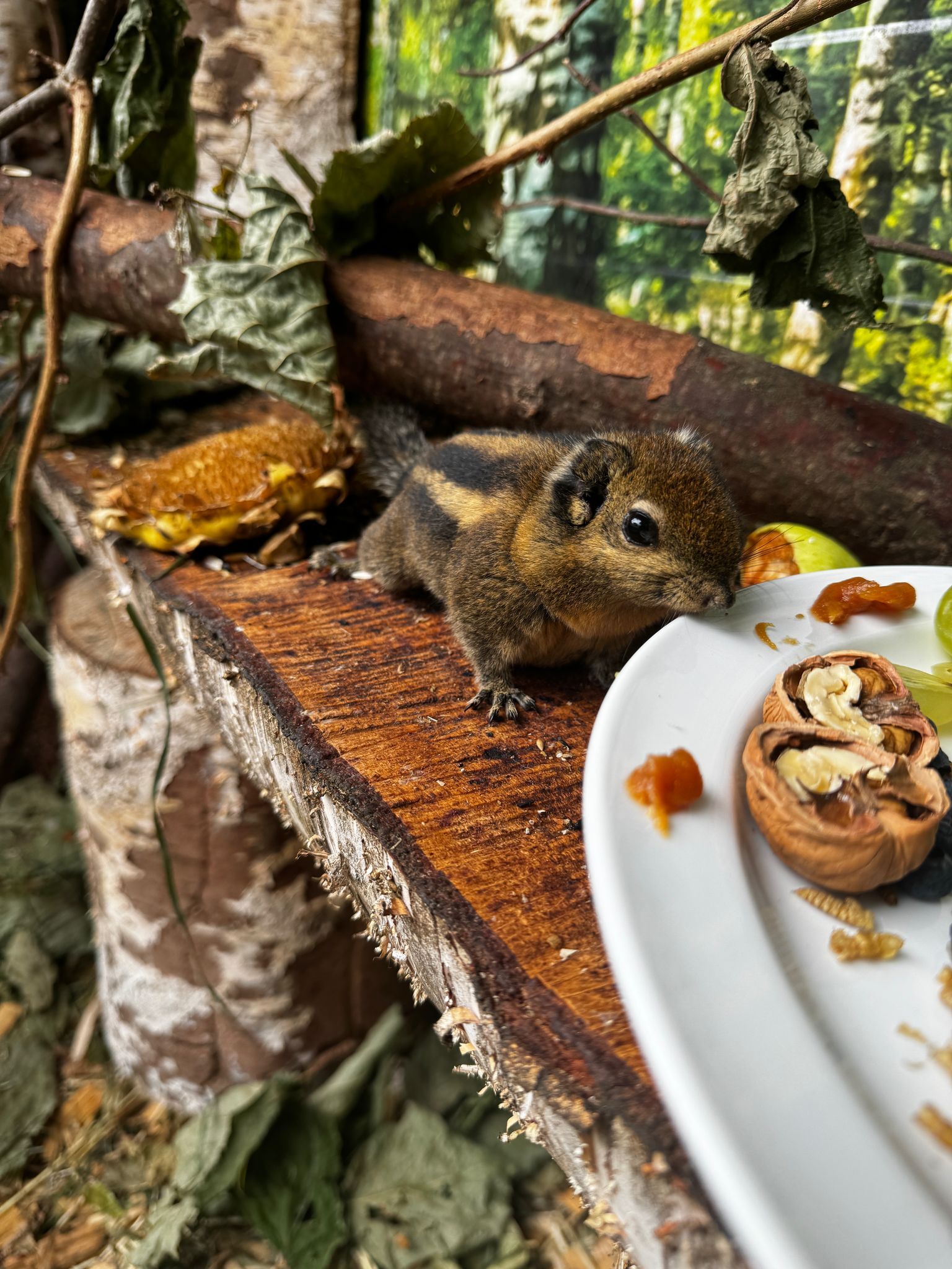 Model wearing plain black basic tee.